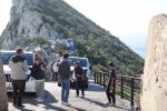 PICTURES/Gibraltar - The Rock & Monkeys/t_DSC01092.JPG